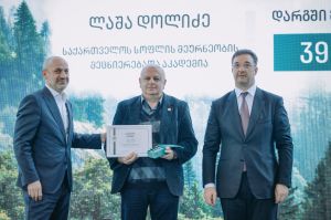 მეტყევის დღე 